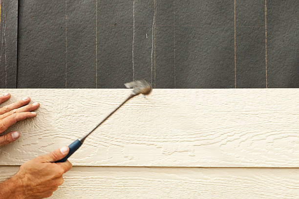 Best Steel Siding Installation  in Orleans, IN