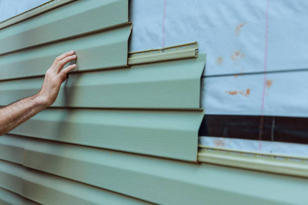 Best Historical Building Siding Restoration  in Orleans, IN